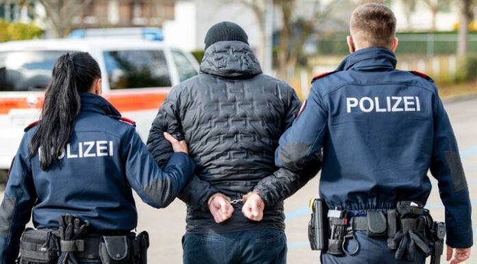 Festnahme in Hedingen und Bonstetten ZH – Mutmasslicher Dieb verhaftet und Deliktsgut sichergestellt