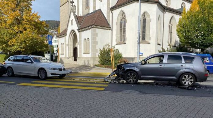 Frontalkollision in Oberägeri ZG – Auto gerät wegen Marienkäfer auf die Gegenfahrbahn