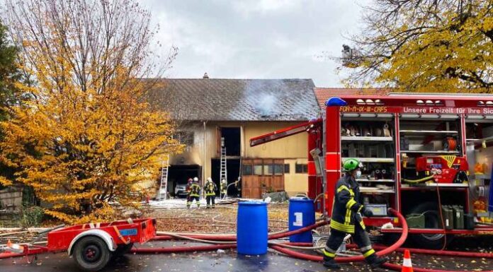 Garagenbrand in Hallau SH – Zwei Katzen bei Brand gerettet