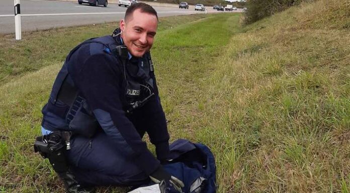 Schwan im Glück in Erfurt – Polizei rettet Schwan auf Autobahn