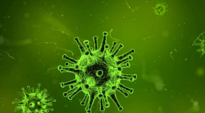 Zahlen zum Coronavirus – Lage im Ausland am 21.10.2020