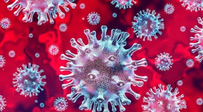 Zahlen zum Coronavirus – Lage im Ausland am 23.10.2020