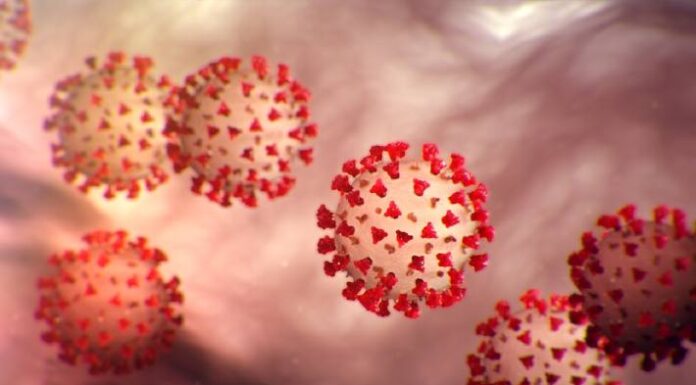 Zahlen zum Coronavirus – Lage im Ausland am 28.10.2020
