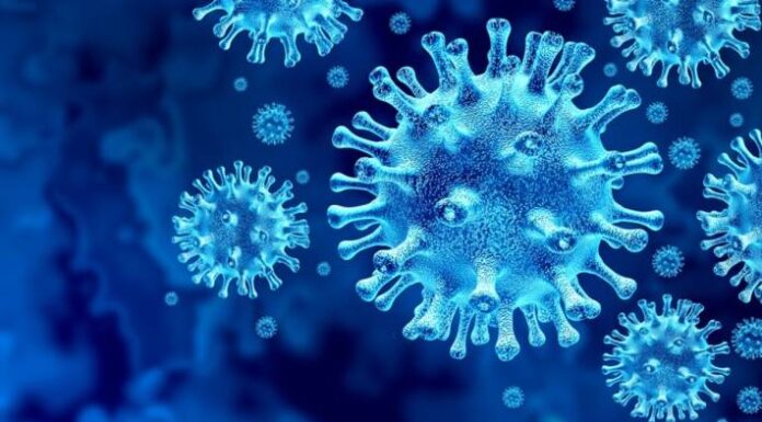 Zahlen zum Coronavirus – Lage im Ausland am 29.10.2020