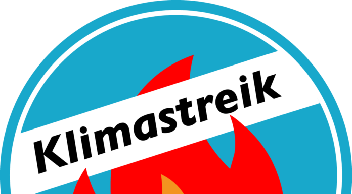 Klimastreik Schweiz kritisiert den Bundesrat scharf