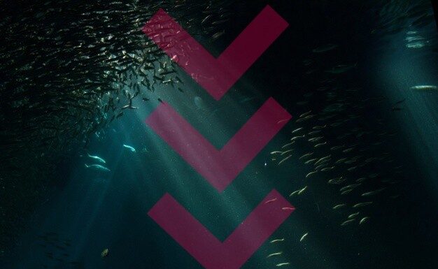 Das stille Sterben unter Wasser