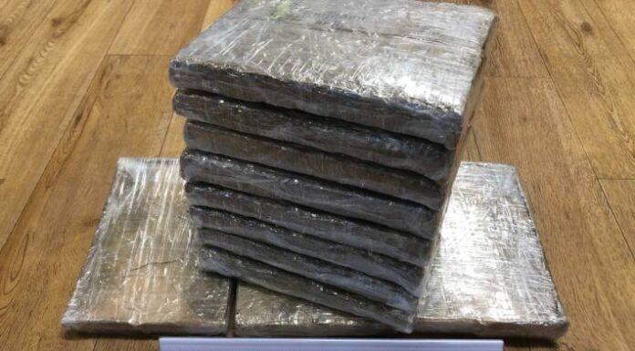 Flughafen Zürich – 37 Kilogramm Marihuana beschlagnahmt