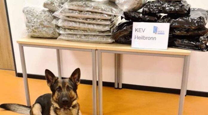Heilbronn – Marihuana im Wert von 150.000 Euro entdeckt