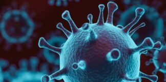 Muttenz BL – Virusausbreitung an Primarschule frühzeitig eingedämmt