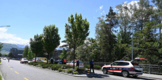 Balzers – Polizeiliche Zusammenarbeit bei Verfolgungsjagd
