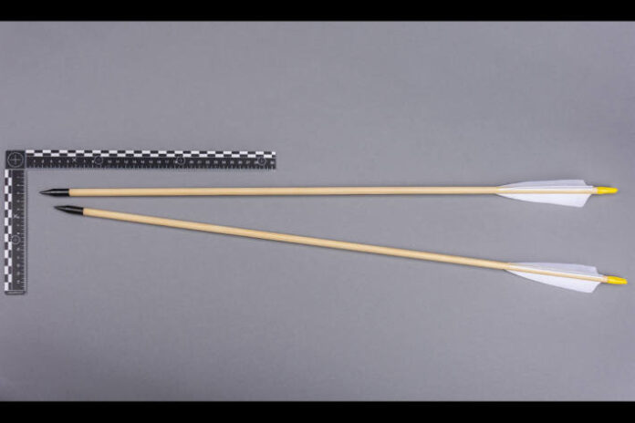 tierqulerei-in-zizers-gr-katze-mit-pfeil-angeschossen-mutmasslichen-tter-ermittelt