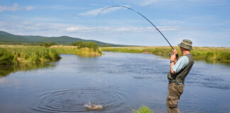 Thomas soll’s richten