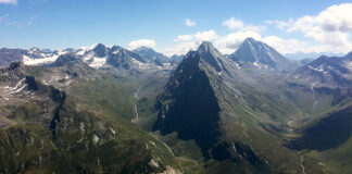 Trend: Das Ergrünen der Alpen