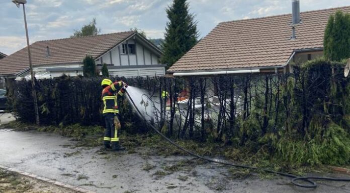 Mägenwil AG – Hecke in Brand gesetzt