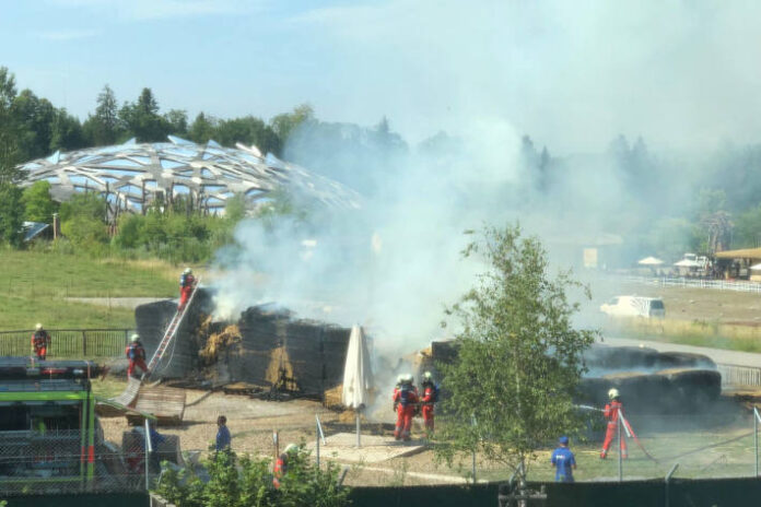 stadt-zurich-brand-im-zoo