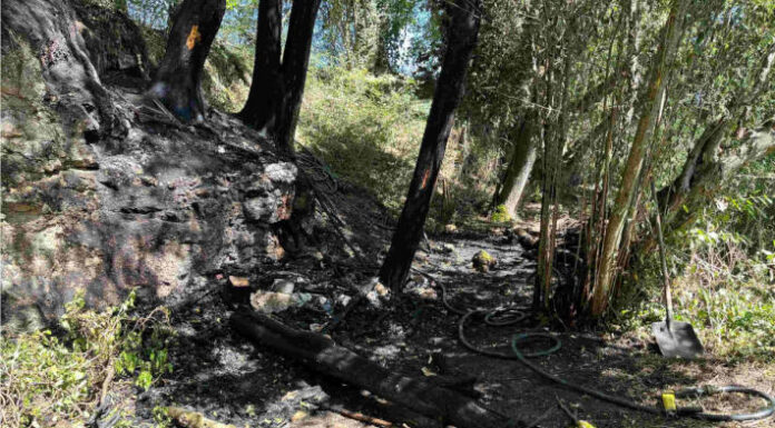Metzerlen-Mariastein SO – Brand bei einer Baumgruppe