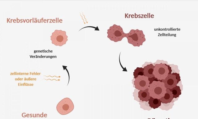 Unkontrollierte Zellteilung gestoppt. Bedeutend für andere KREBS-Arten.