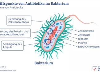 Antibiotika-Resistenz und alles ist aus?