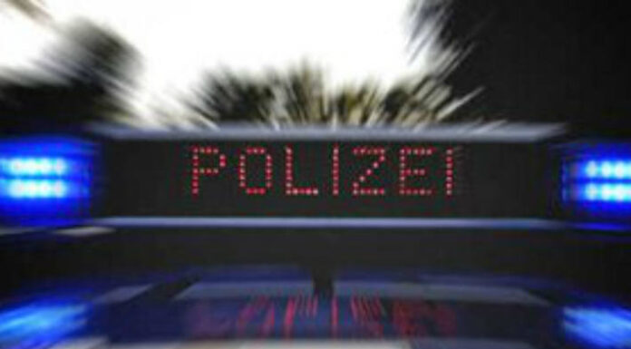 Erlinsbach SO – Weidezaun umgefahren und geflüchtet – gesucht wird ein beschädigter Škoda Octavia