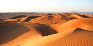 Der ganz normale Wahnsinn