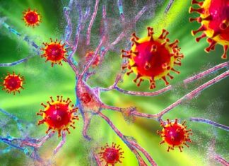 Covid-19 und seine Folgeschäden am Nervensystem