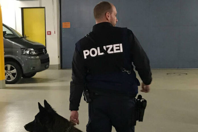 schaan-fl-einbruchdiebsthle-in-schrebergartenhuschen-und-einfamilienhaus