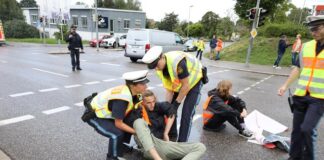 Grün hinter den Ohren