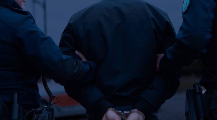 Erfolgreicher Polizeihund in Schmitten im Kanton Freiburg