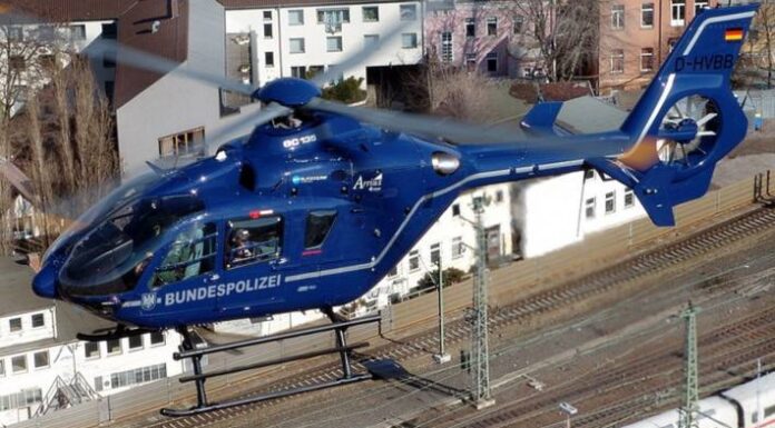 Köln – Lokführer meldet "Schlag am Zug" – Weiterer Vorfall mit einem Hund