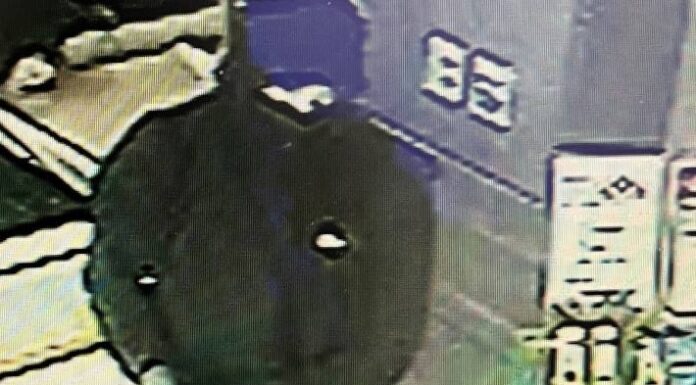 Pfyn TG – Bewaffneter Raubüberfall auf weitere Volg-Filiale