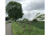 Pulheim – Mehr als 20 Jungbäume gefällt