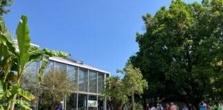 Neue alte Attraktion in Basel: Tropenhaus & Nebelwaldhaus