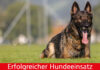 Bürglen OW – Polizeihund Quandos hilft einen Dieb zu verhaften