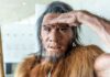 Neuigkeiten vom Neandertaler