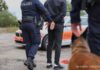 Sennwald SG – Polizeihund "Zen" hilft zwei Diebe zu verhaften