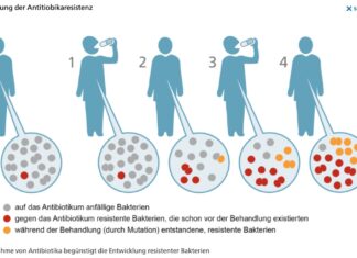 Wir Menschen als Depot für lebensgefährliche Bakterien