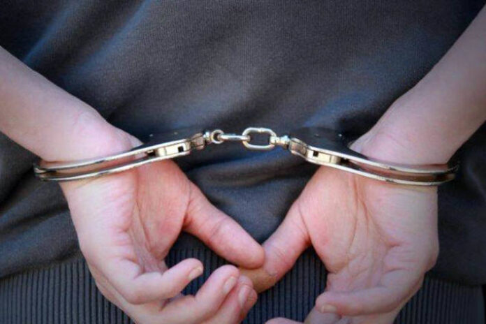 bellinzona-ti-festnahme-nach-flucht-vor-der-polizei
