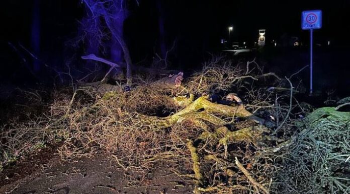 Sturm in Schermbeck NW – Baum auf die Fahrbahn gestürzt