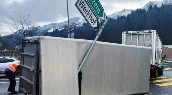 A8 in Kerns OW – Anhänger mit Rindern umgekippt