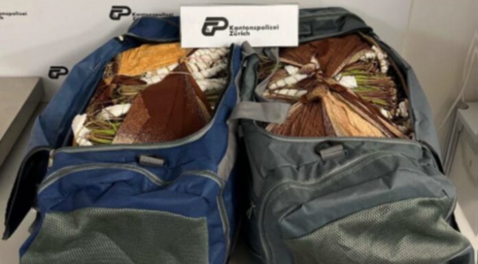 Flughafen Zürich – Mann versucht um die 44 Kilogramm Khat zu schmuggeln
