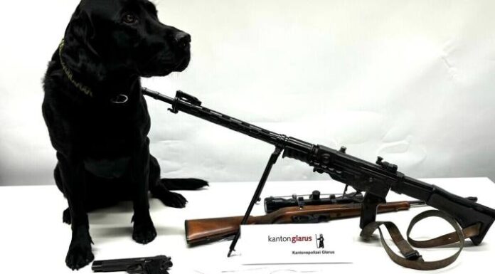 Kanton Glarus – Polizeihund ‘Flake’ hilft Drogen, Bargeld und Schusswaffen sicherzustellen