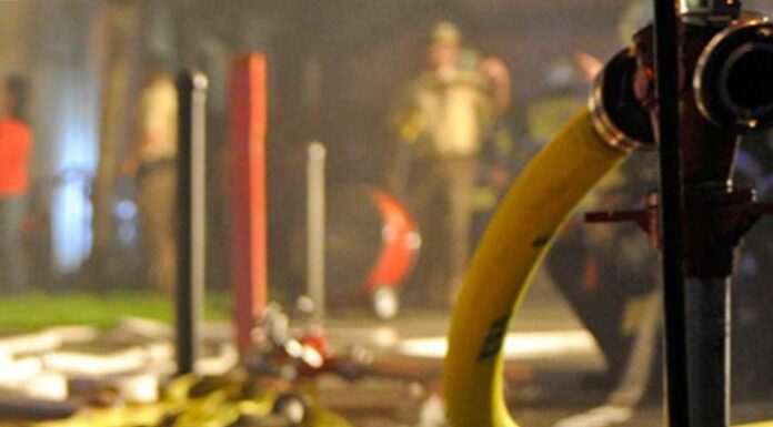 Stadt Luzern – Zwei Katzen bei Brand gestorben