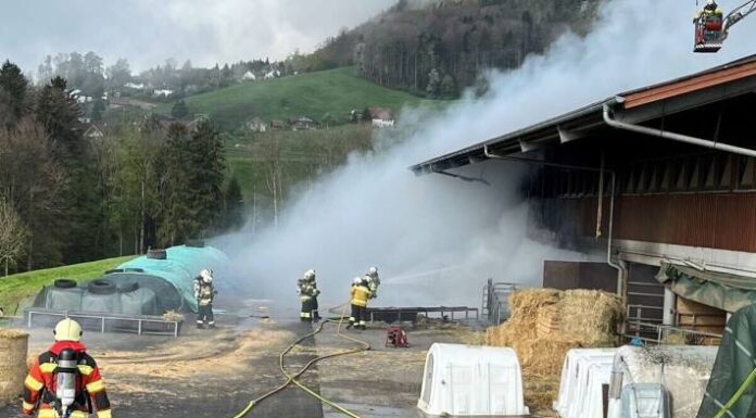 Günsberg SO – Zwei Mutterkühe nach Brand eingeschläfert