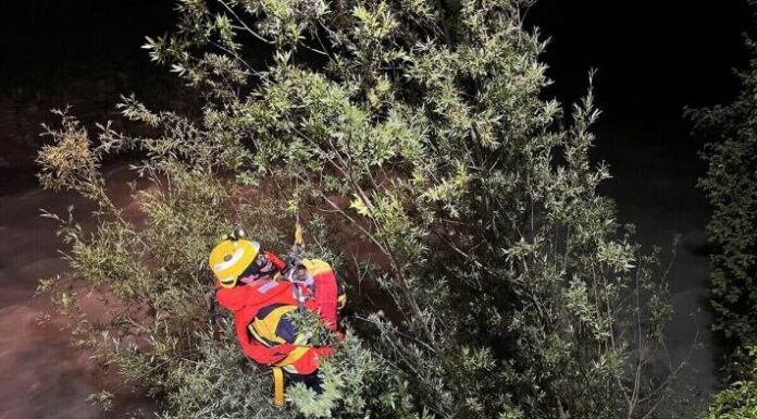 Chur GR – Katze aus misslicher Lage gerettet