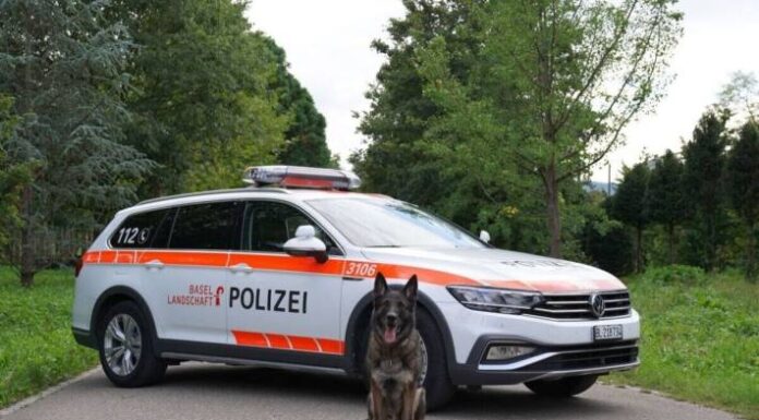 Liestal BL – Einbrecher dank Diensthund festgenommen